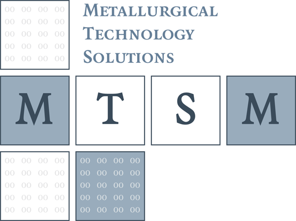 Logo MTSM